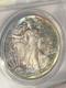 Beautiful 1987 American Eagle ANACS Silver Coin BU Slab MS67 Rainbow Tone