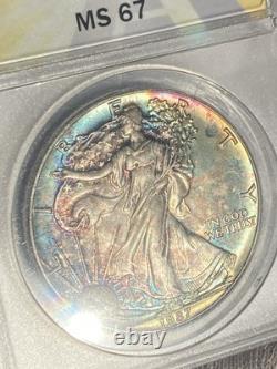 Beautiful 1987 American Eagle ANACS Silver Coin BU Slab MS67 Rainbow Tone