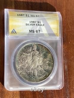 Beautiful 1987 American Eagle ANACS Silver Coin BU Slab MS67 Rainbow Tone