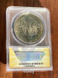 Beautiful 1987 American Eagle ANACS Silver Coin BU Slab MS67 Rainbow Tone