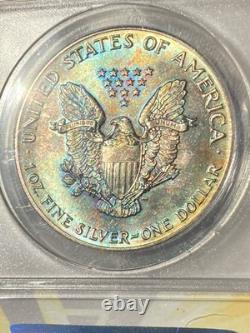 Beautiful 1987 American Eagle ANACS Silver Coin BU Slab MS67 Rainbow Tone