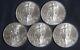 Five (5) 2013 Silver American Eagle 1 Oz Bullion Coins Lot 080210