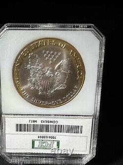 Golden Toned 1993 UNGRADED YOU GRADE! 1 Oz. Silver American Eagle WOW