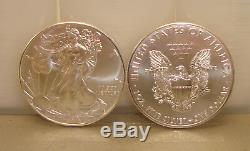 Lot of (100) 2019 1 oz. 999 Fine American Silver Eagle Bullion Coins
