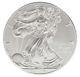 Lot of 10 2014 $1 1oz Silver American Eagle BU