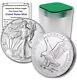 Lot of 10 2024 $1 American Silver Eagle 1 oz Gem BU 10 OZS Free Eagle Tube