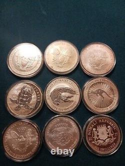 Lot of $1 American Silver Eagles Australian Croc African lion Somali Turtle