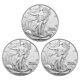 Lot of 3 2024 (P) $1 American Silver Eagle Star Privy 1 oz BU