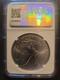 Mark Salzberg 2025 Silver Eagle NGC MS70 Early Releases Eagle Privy Hand Select