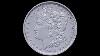 Once Shipped Will The Remaining 2021 Morgan CC U0026 O Privy Marked Dollars Become Available Again