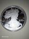 One US Pound Silver Eagle, Proof