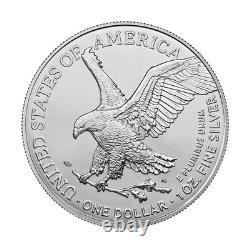 Open Roll of 20 2025 (P) $1 1-oz American Silver Eagle Eagle Privy GEM BU