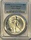 PCGS SAMPLE silver eagle Date of our choice, you will love