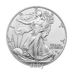 Presale Roll of 20 2024 (P) $1 American Silver Eagle Star Privy NGC ER Mi