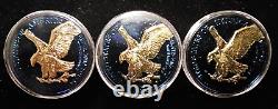 Qty 3 2023-W 1oz. 999 Silver American Eagle Rounds Blue Gold Titanium Design UNC