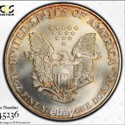 Rainbow Toned 1995 MS 68 Silver American Eagle PCGS Certified Trueview Slab 1122