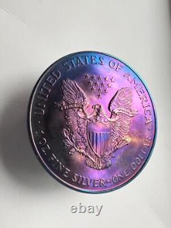 Stunning Rainbow Toned American Silver Eagle 1oz Unique Silver Dollar Coin E12