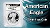 The American Eagle Silver 1 Oz Coin