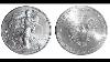 The American Silver Eagle Coin