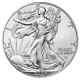 (x50) 2024 $1 American Silver Eagle 1 oz (BU) $1,430 at my Shop, $1,650 Here